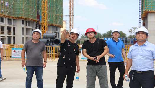 LEYU官网董事会巡检圆满完成